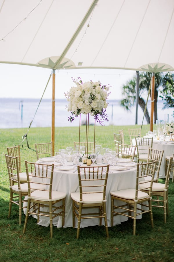Wedding567