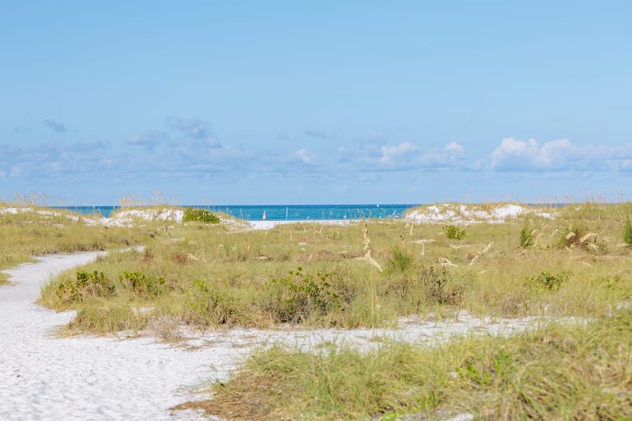 cvb-bean-point-092923-86