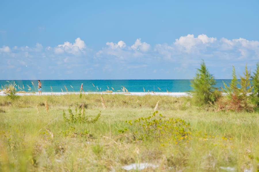 cvb-bean-point-092923-85