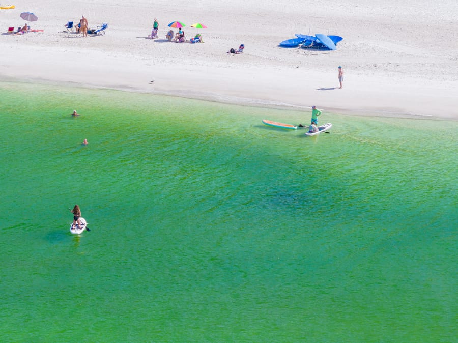 cvb-manatee-beach-092923-46