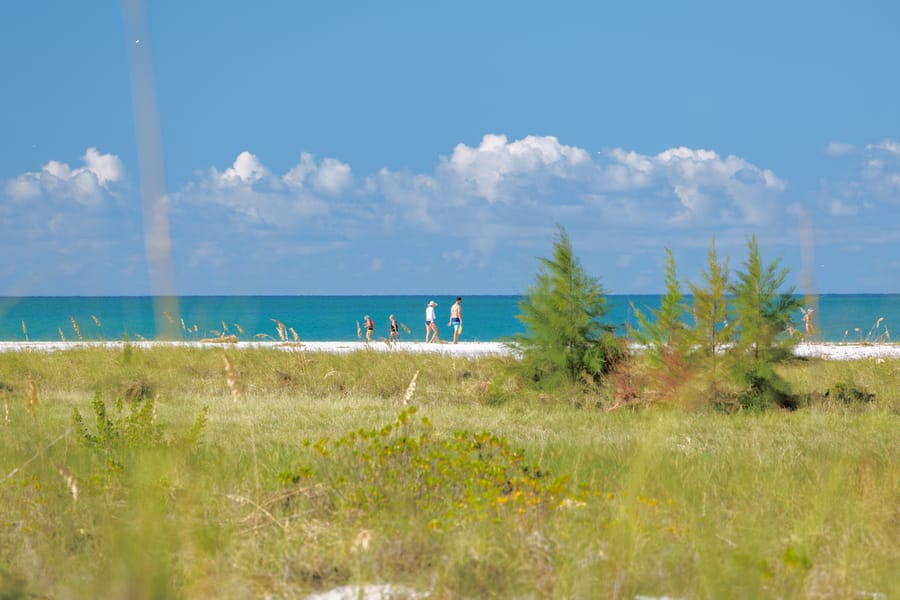 cvb-bean-point-092923-87