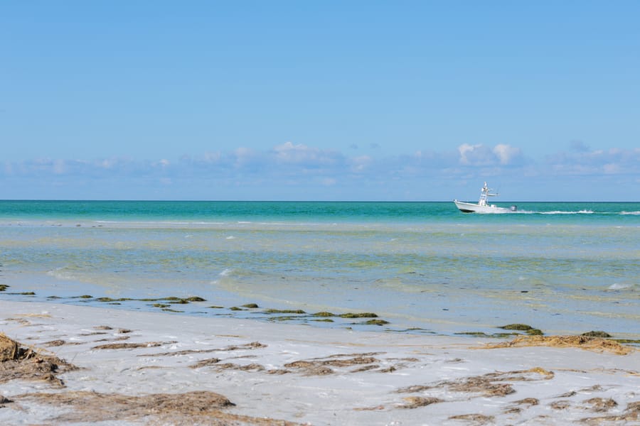 cvb-bean-point-092923-50