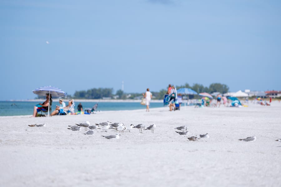 cvb-manatee-beach-092923-20