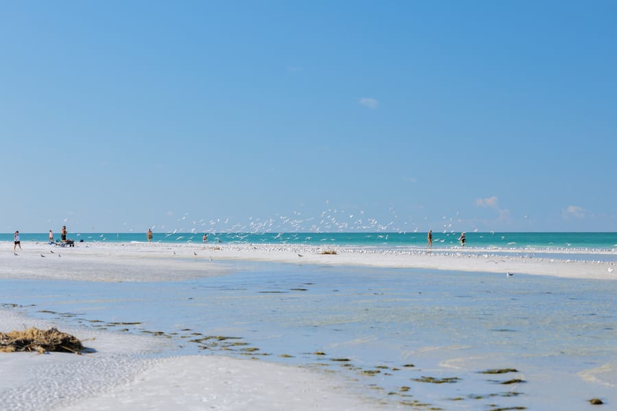 cvb-bean-point-092923-53