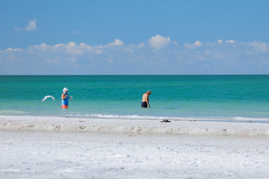 cvb-bean-point-092923-73