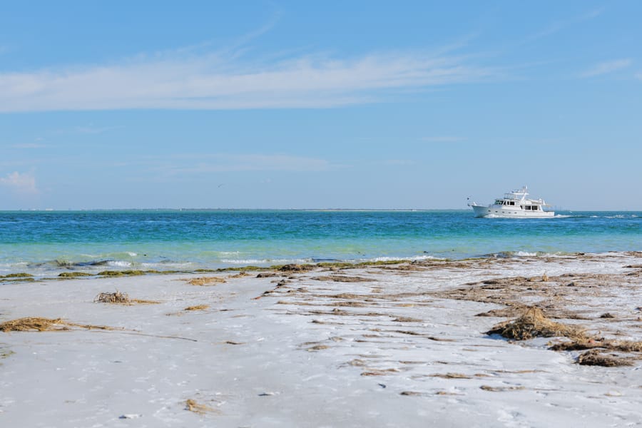 cvb-bean-point-092923-55