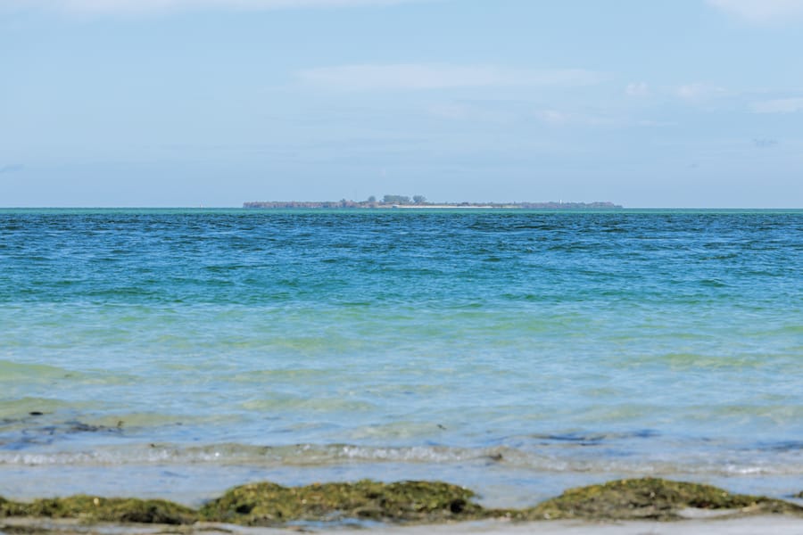 cvb-bean-point-092923-49
