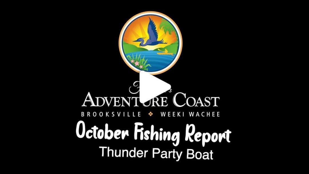 October 2023 Fishing Report with Captain Chaz