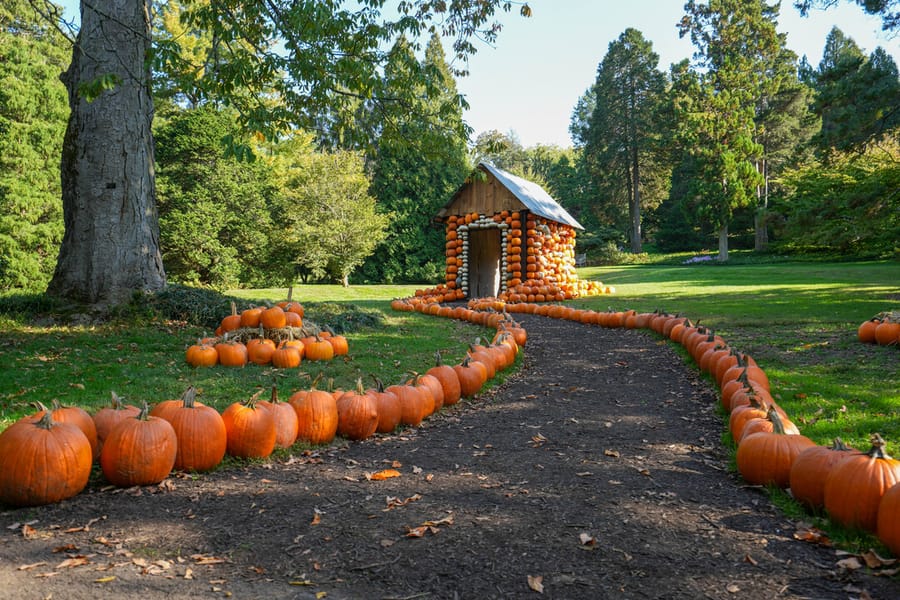 Morris Arboretum