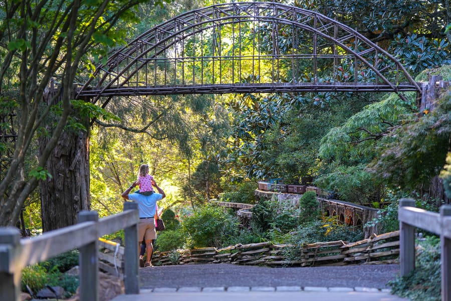 Morris Arboretum