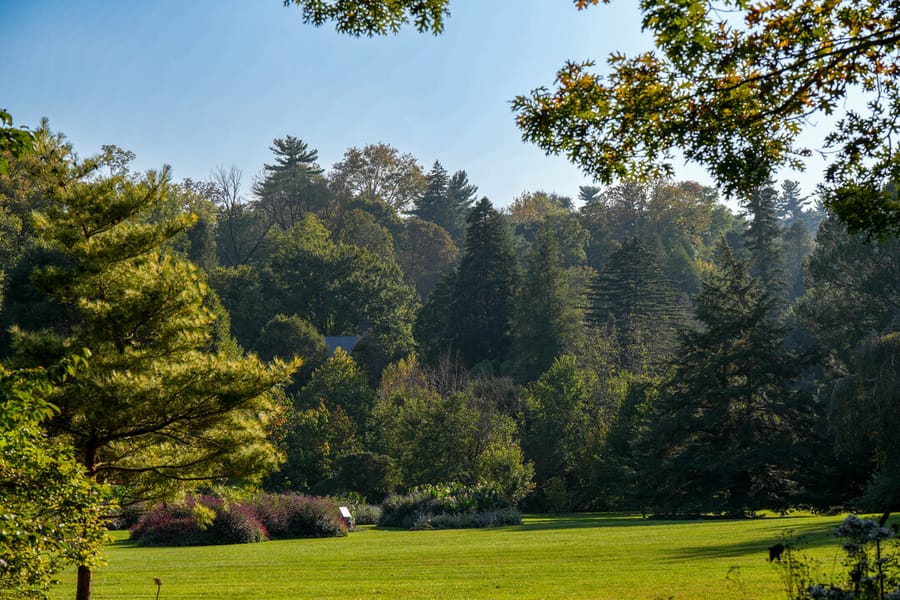 Morris Arboretum