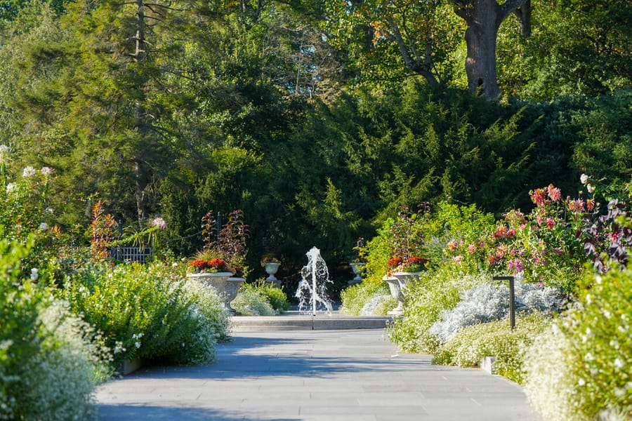 Morris Arboretum