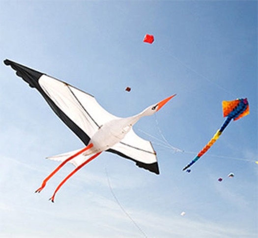 kites2