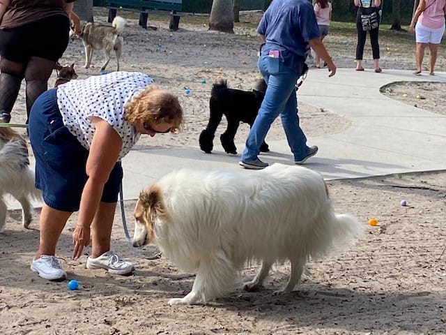 Dog_Gone_Egg_Hunt_041422 (6)