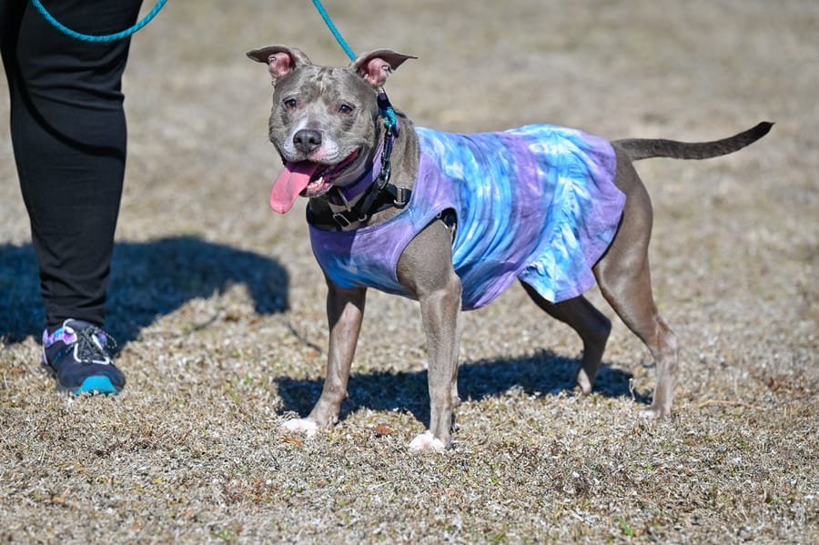 Woofstock_021222 (54)