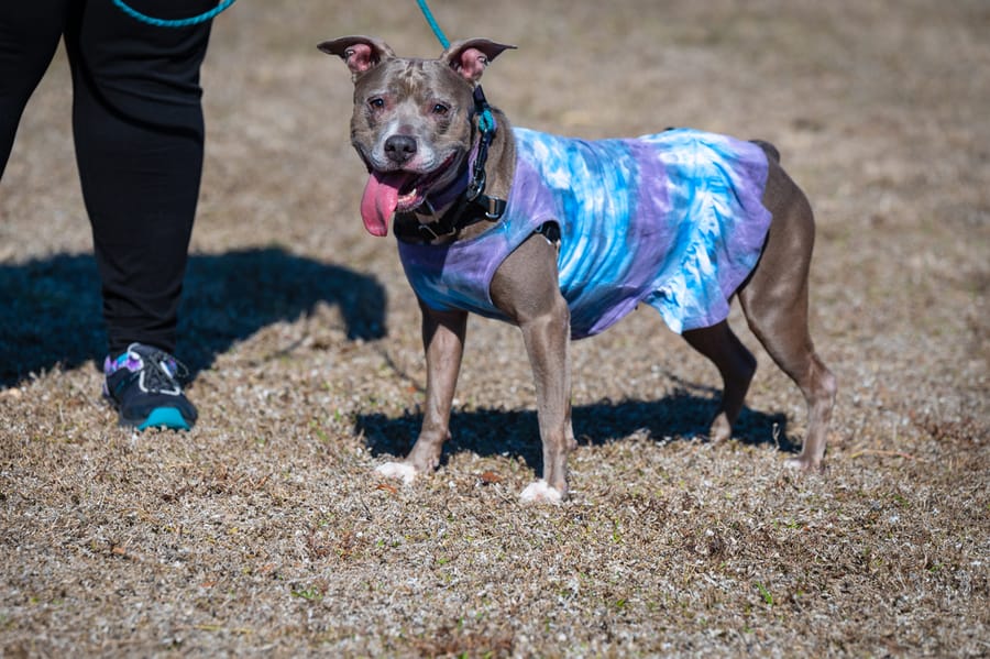 Woofstock_021222 (53)