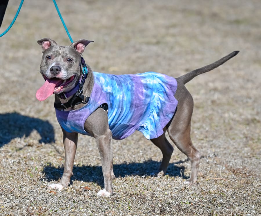 Woofstock_021222 (48)