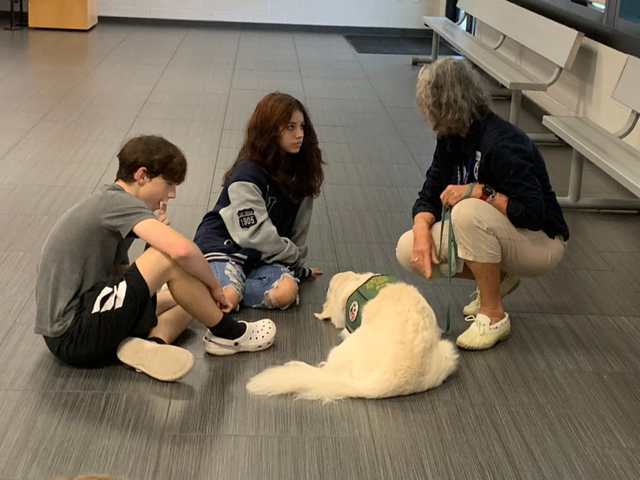 Dogs_and_Donuts_2022 (5)