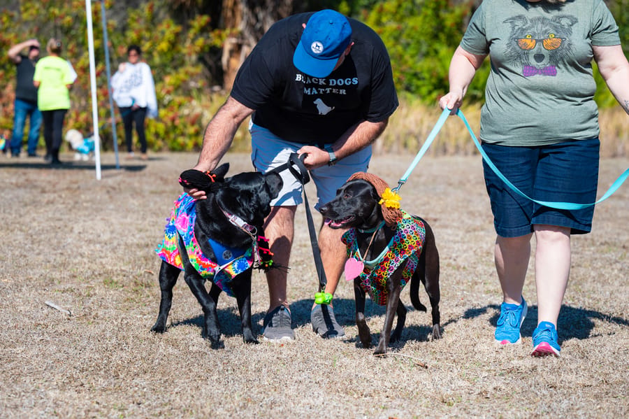 Woofstock_021222 (33)