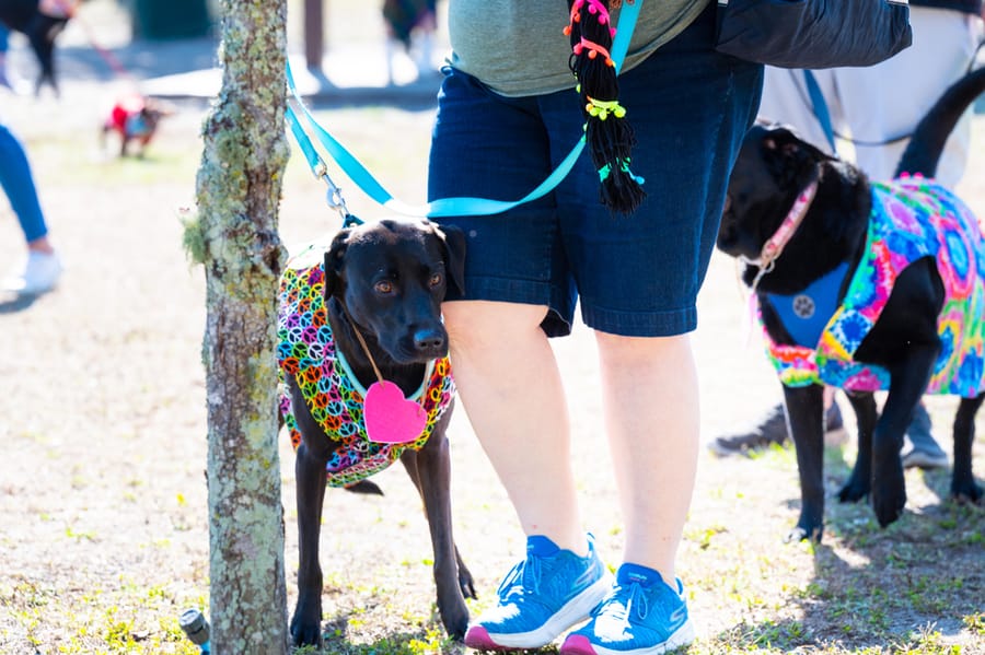 Woofstock_021222 (25)
