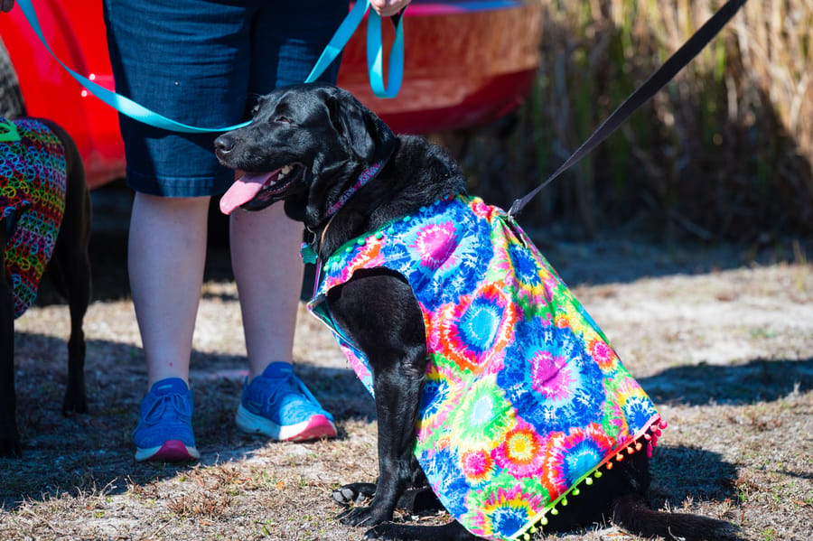 Woofstock_021222 (70)