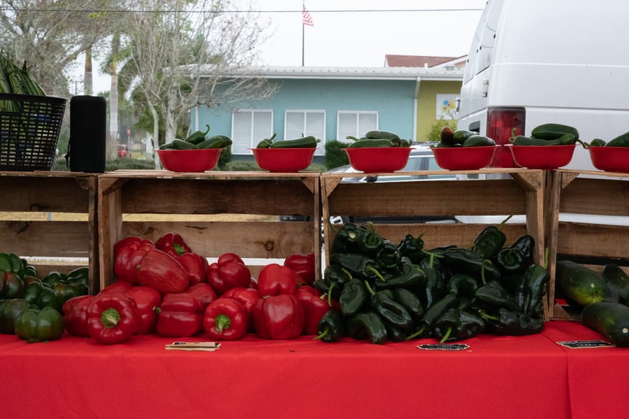 Farmers_Market_2022 (4)