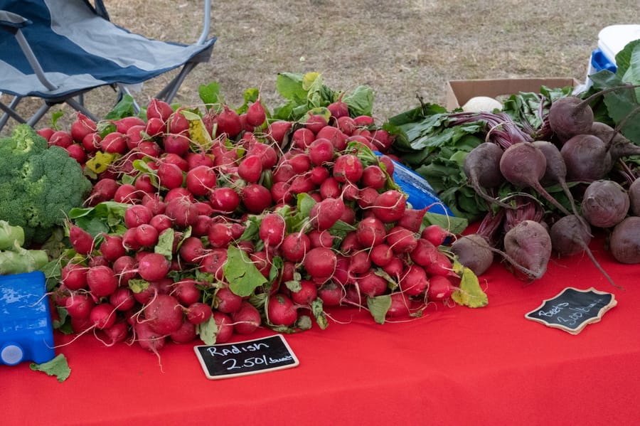 Farmers_Market_2022 (26)