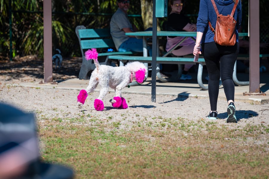 Woofstock_021222 (98)