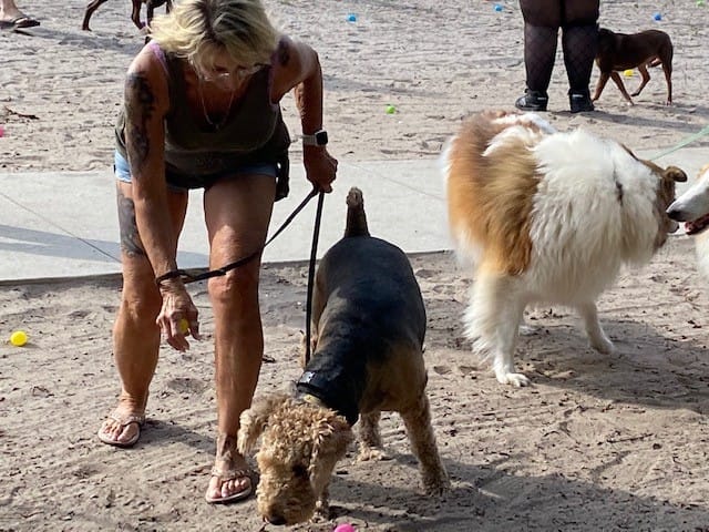 Dog_Gone_Egg_Hunt_041422 (5)