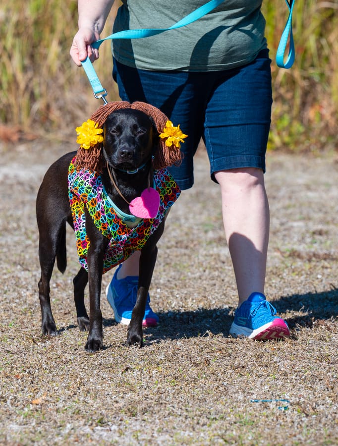 Woofstock_021222 (72)