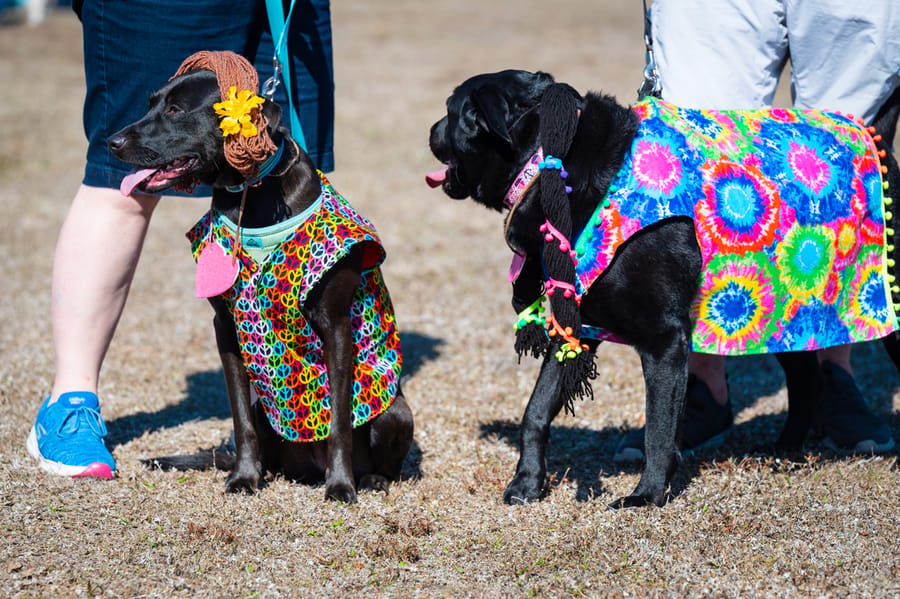 Woofstock_021222 (38)