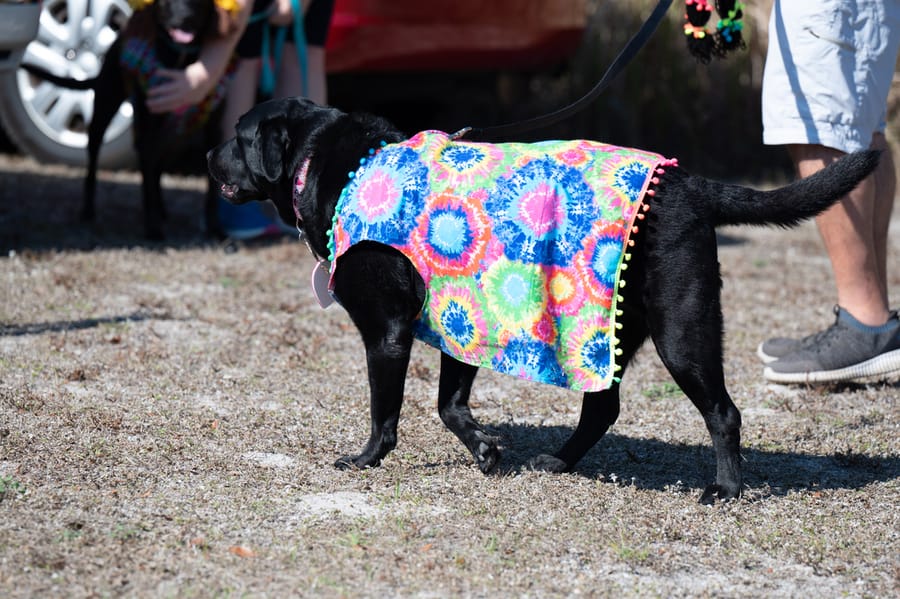 Woofstock_021222 (69)