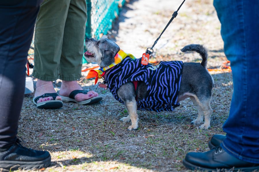 Woofstock_021222 (71)