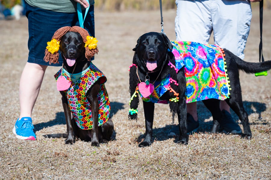 Woofstock_021222 (36)