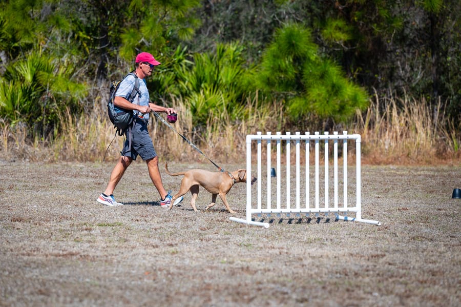 Woofstock_021222 (134)