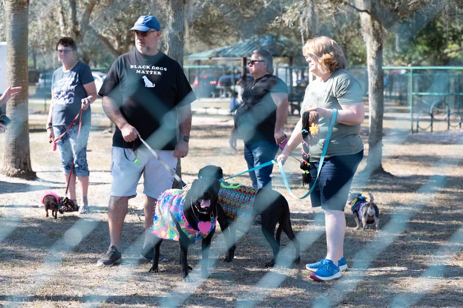 Woofstock_021222 (29)