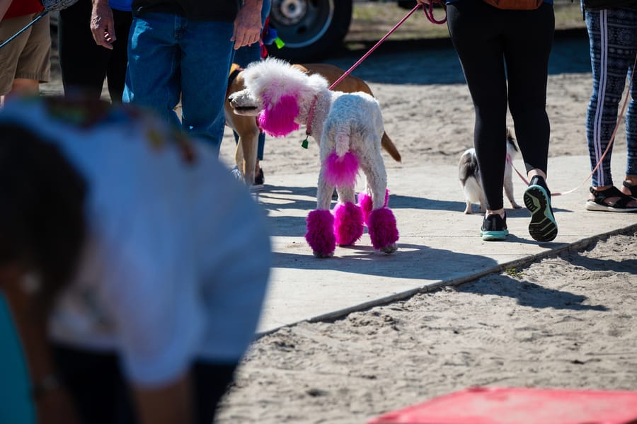Woofstock_021222 (91)