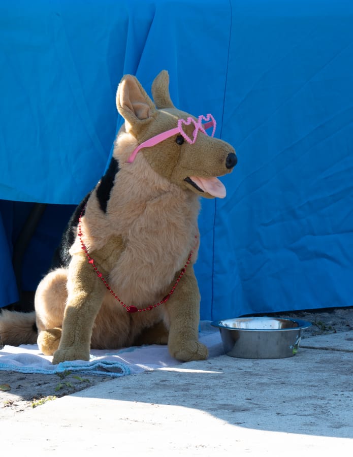 Woofstock_021222 (2)