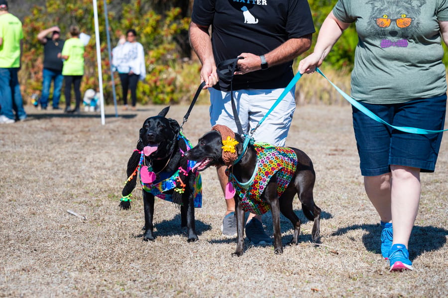 Woofstock_021222 (34)