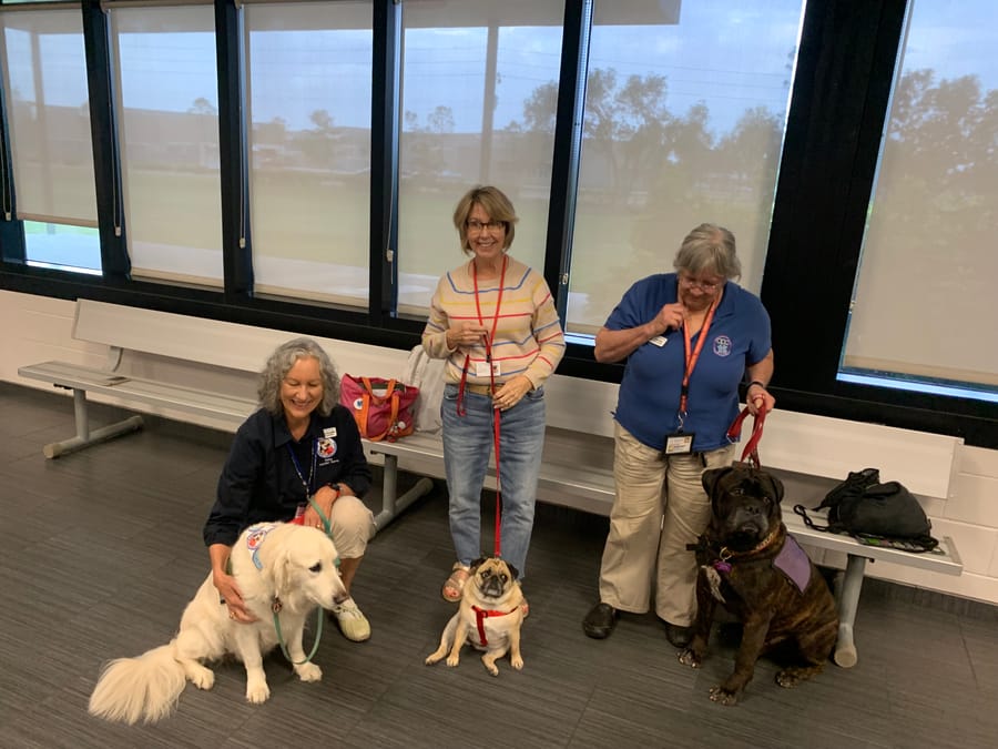 Dogs_and_Donuts_2022 (8)