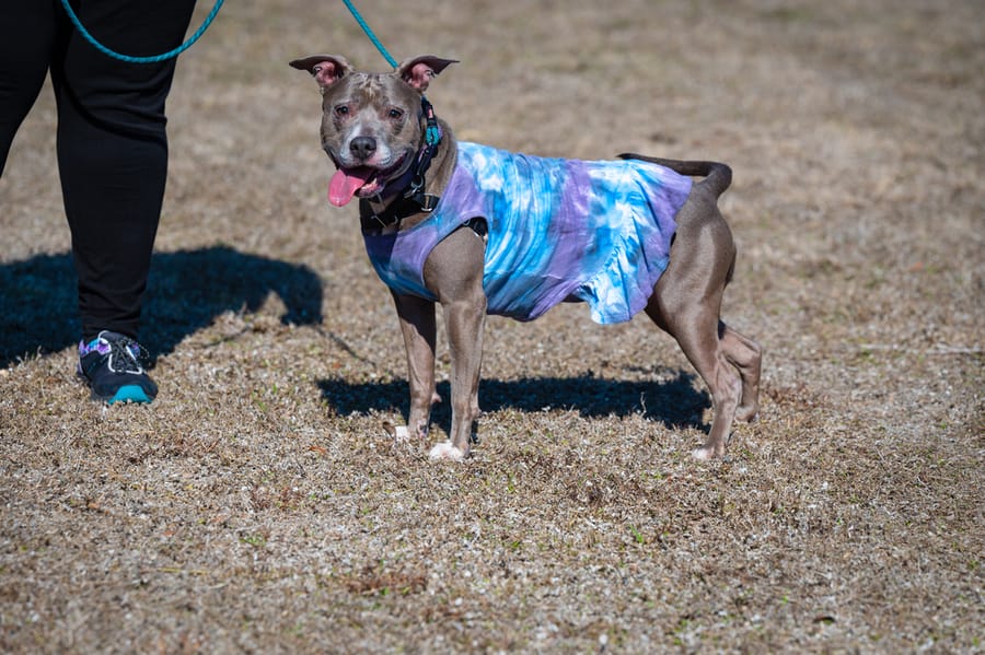 Woofstock_021222 (47)