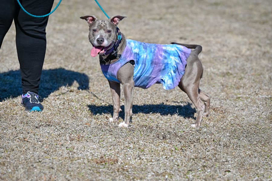 Woofstock_021222 (46)