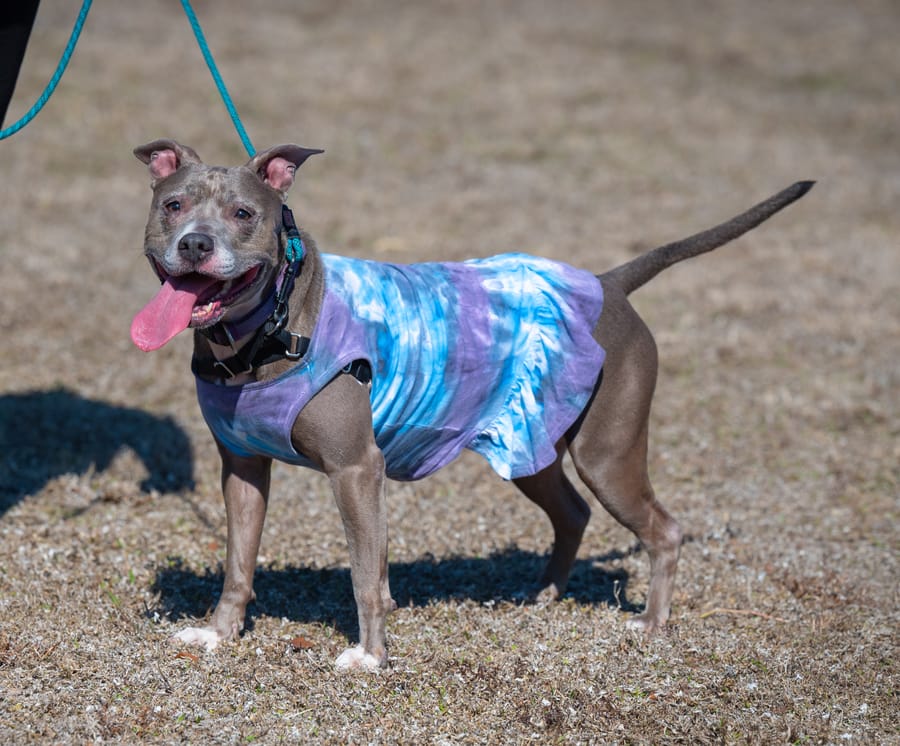Woofstock_021222 (49)