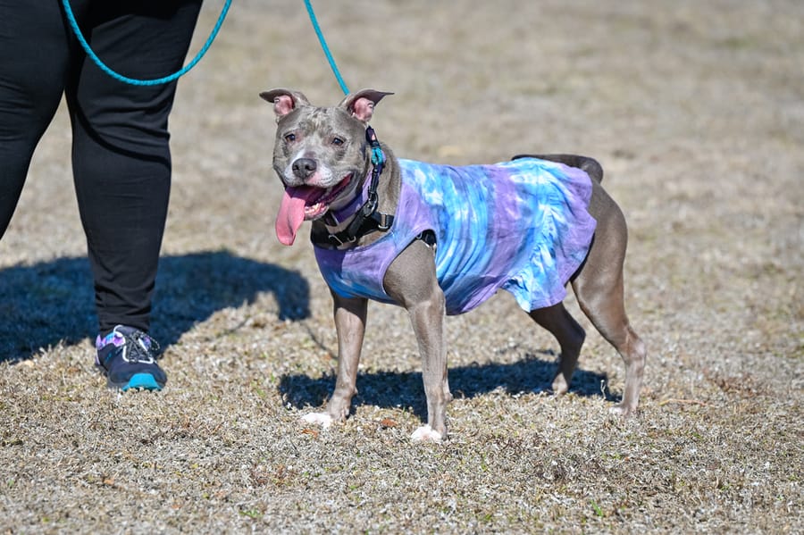 Woofstock_021222 (50)