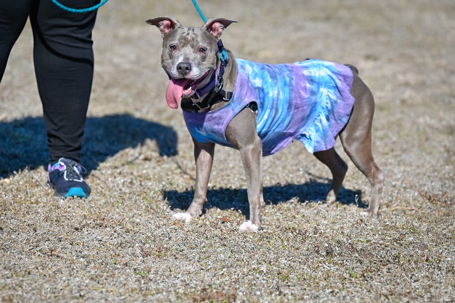 Woofstock_021222 (52)