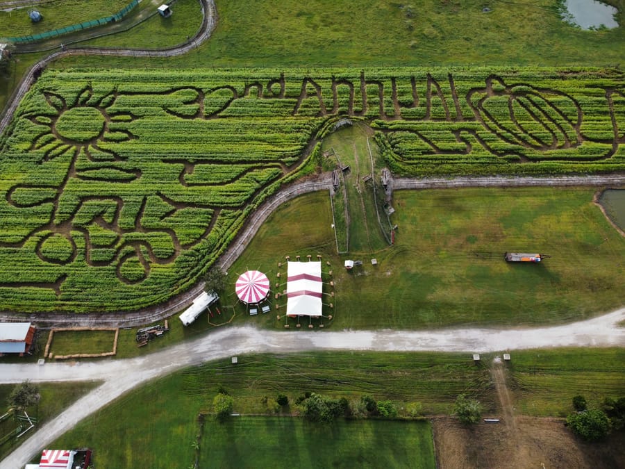 dji_fly_20231008_175512_961_1696802141133_photo_optimized