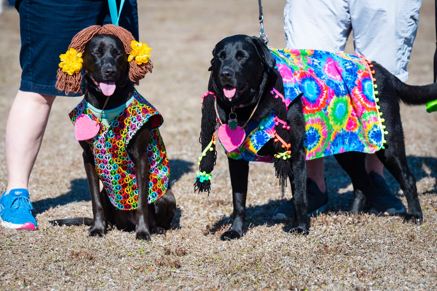 Woofstock_021222 (37)