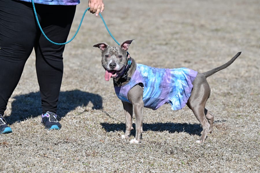 Woofstock_021222 (44)