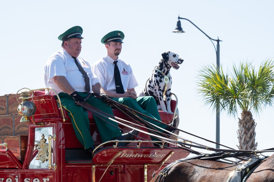 Wellen_Park_Braves_Bash_110722 (150)