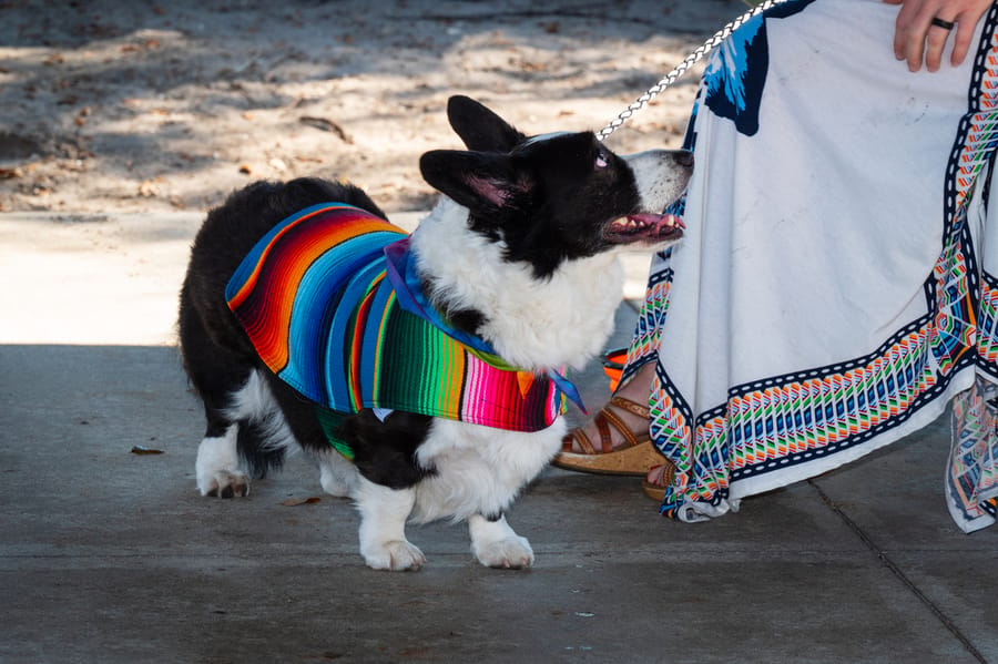 Woofstock_021222 (110)